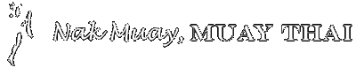 Nak Muay, Muay Thai